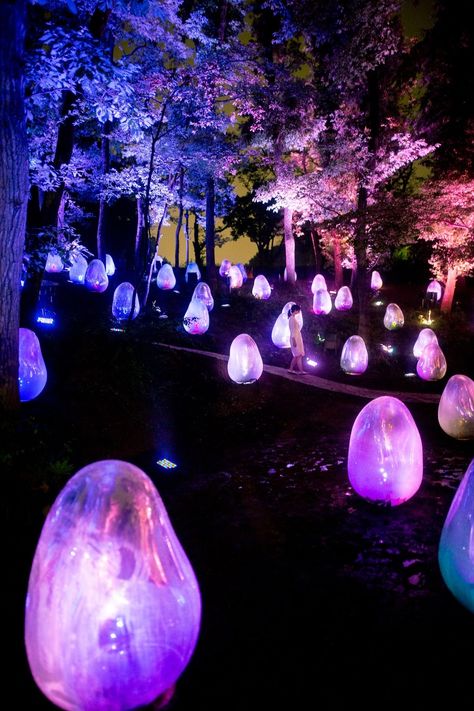 Immersive Exhibition, Immersive Installation, Light Fest, Interactive Projection, Experiential Art, Subtractive Color, Funky Decor, True Value, Osaka Japan