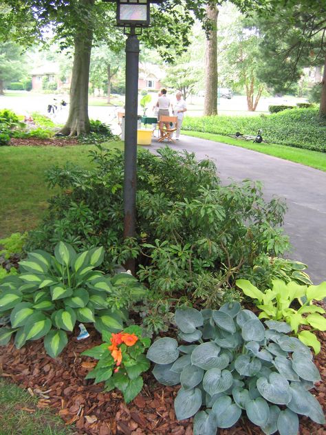 Plants Around Light Post, Lamppost Landscaping, Flag Pole Landscaping Front Yards, Lamp Post Landscaping, Light Post Landscaping, Lamp Post Ideas, Flag Pole Landscaping, Front Yard Lighting, Pollinator Garden Design