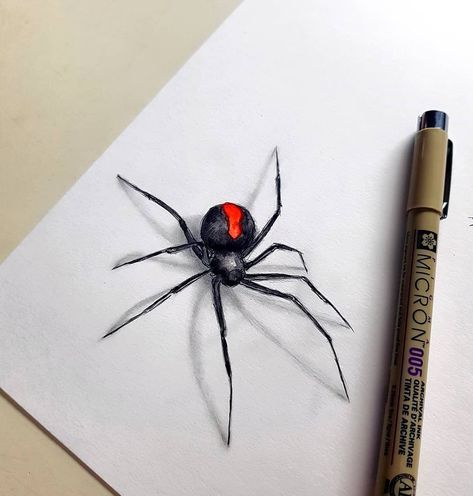 Black Widow Spider Drawing, Bee Pictures Art, Redback Spider, 3d Pencil Drawings, Spider Drawing, Widow Spider, Black Widow Spider, 3d Art Drawing, Spider Tattoo