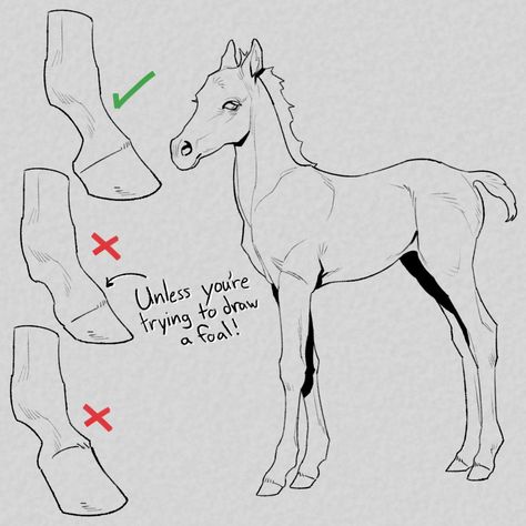 Horse Drawing Tutorial, Horse Art Drawing, Horse Sketch, Dungeon Meshi, Anatomy Tutorial, Animal Study, Horse Drawing, Horse Drawings, Creature Drawings