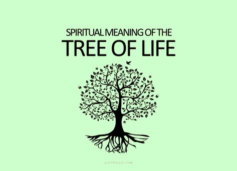 15 Hidden Meanings Behind the Tree of Life Symbol Celtic Tree Of Life Meaning, Native American Tree Of Life, The Tree Of Life, Celtic Tree Of Life Drawing, Tree Of Life Art Drawing, Tree Of Life Sayings, Tree Of Life Symbolism Meaning, Tree Of Life Meaning Spiritual, Tree Symbolism