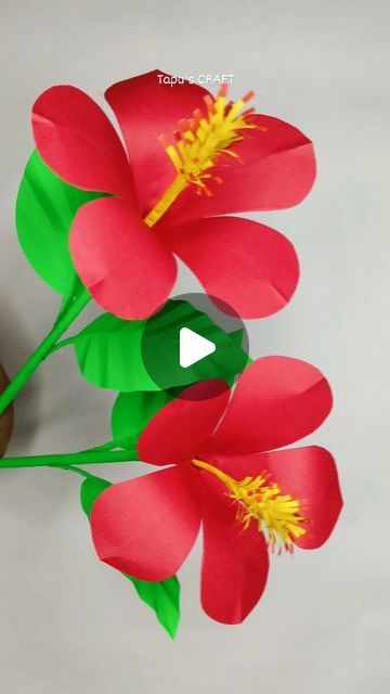 Tapu's CRAFT on Instagram: "Beautiful Paper  hibiscus flower 🌺
#paperflower #papercrafts #craftideas #easycrafts
#paperhibiscus

For detailed tutorial video please visit our YouTube channel
Link is in bio 💕" Flowers Making Crafts, Diy Hibiscus Flower, Hibiscus Paper Flower, Beautiful Paper, Hibiscus Flower, Tutorial Video, Hibiscus Flowers, How To Make Paper, Flower Crafts