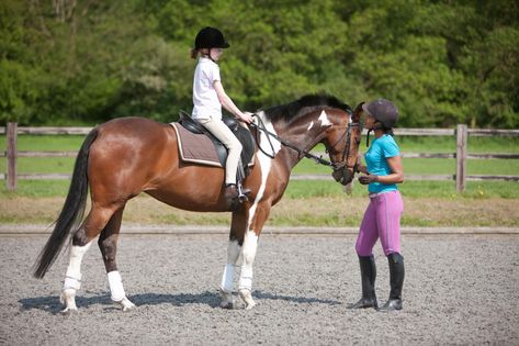 Riding lessons are great for kids and the best way to learn to ride a horse. Here are some suggestions about the appropriate age for children to take horse riding lesson, and what you can expect from lessons for very young children. Camp America, Horse Riding Lessons, Horseback Riding Lessons, Equestrian Helmets, Equestrian Helmet, Horse Dressage, Types Of Horses, Riding Lessons, English Riding