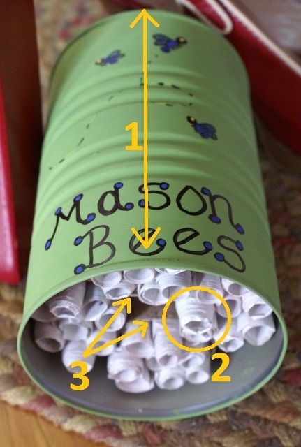 DIY: Make a Bee House with Recycled Materials - Pacific Beach Coalition Mason Bee House, Bee Houses, Wild Bees, Bee Hotel, Mason Bees, Bug Hotel, Insect Hotel, Bee House, Bee Friendly