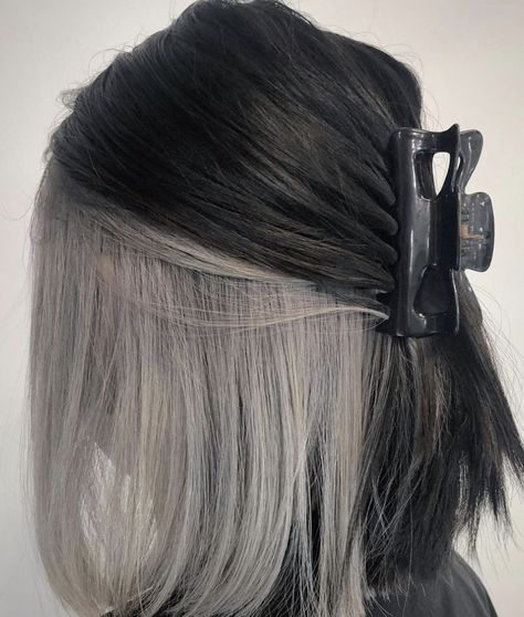 Expensive Brunette, Under Hair Color, Under Hair Dye, Grey Hair Color Silver, Spring Hair Color Trends, Two Color Hair, Grey Hair Dye, Grey Hair Transformation, Grey White Hair