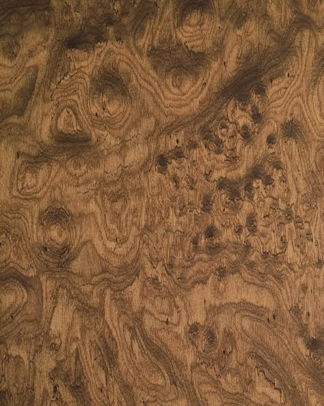 Walnut Burl Panel Kitchen Cabinets, Wood Floor Pattern, Custom Wine Cellars, Walnut Burl, Walnut Furniture, Interior Accents, Wood Panel Walls, Wood Laminate, Burled Wood