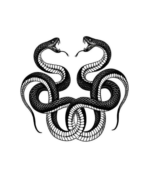 Snake Clipart, Snake Png, Snake Svg, Snake Heads, Tattoos Creative, Cobra Tattoo, Serpent Tattoo, Tattoo Line, Snake Tattoo Design