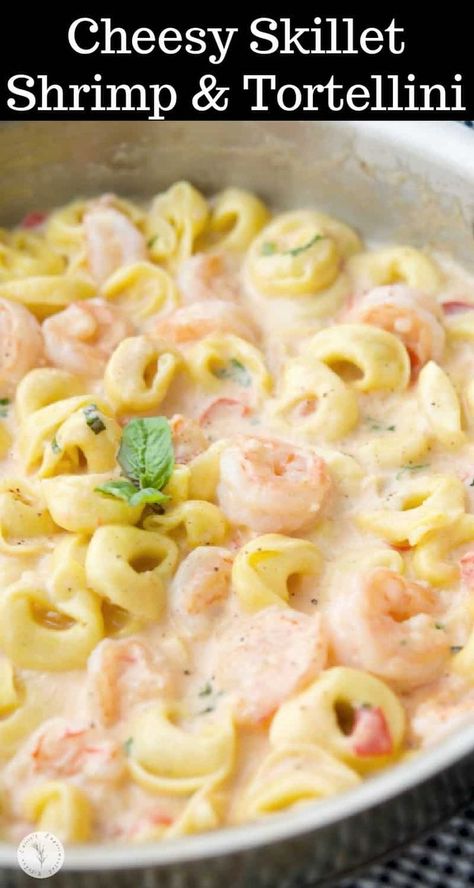 Shrimp Tortellini, Tortellini Alfredo, Skillet Shrimp, Cajun Shrimp Pasta, Tortellini Recipes, Delicious Seafood Recipes, Shrimp Recipes For Dinner, Seafood Salad, Cheese Tortellini