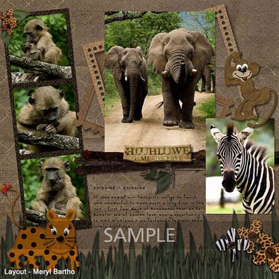 Safari Scrapbook Layouts, Safari Scrapbook, Disney Animal Kingdom, Disney Scrapbooking Layouts, Picture Layouts, Vacation Scrapbook, Disney Scrapbook Pages, Disney Memories, Disney Scrapbooking