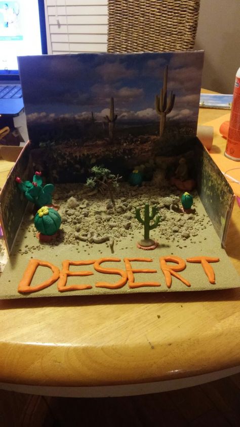 Desert biome Ecosystems Diorama, Landform Projects, Desert Crafts, Biomes Project, Desert Diorama, Diorama Kids, Diarama Ideas, Ecosystems Projects, School Exhibition