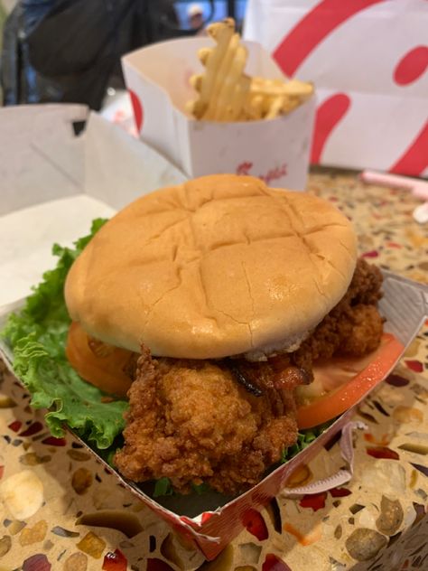 Spicy Chicken Sandwich Chick Fil A, Chic Fil A Chicken Sandwich, Chicken Sandwich Chick Fil A, Chicken Sandwich Aesthetic, Chicken Sandwich And Fries, Chick Fil A Aesthetic, Chick Fil A Chicken Recipe, Chick Fil A Chicken Sandwich, Chicken Sandwich Filling