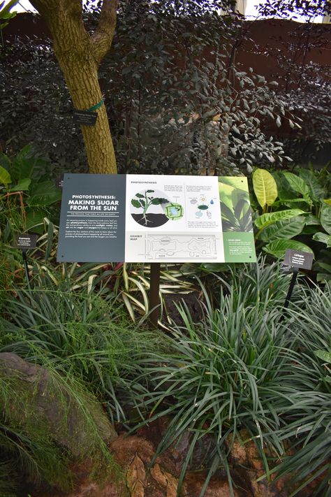 Bilingual Signage Design, Interpretive Signage Nature, Interpretive Signage Design, Garden Signage, Zoo Signage, Interpretive Signage, Garfield Park Conservatory, Wood Signage, Singapore Garden