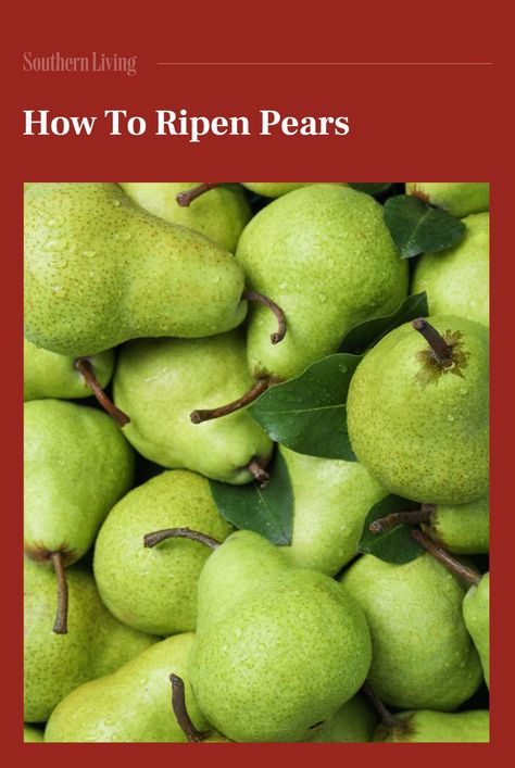 How To Ripen Pears, Canned Pears, Bartlett Pears, Ripe Fruit, Pear Recipes, Juicy Fruit, Harvest Season, Test Kitchen, Southern Living