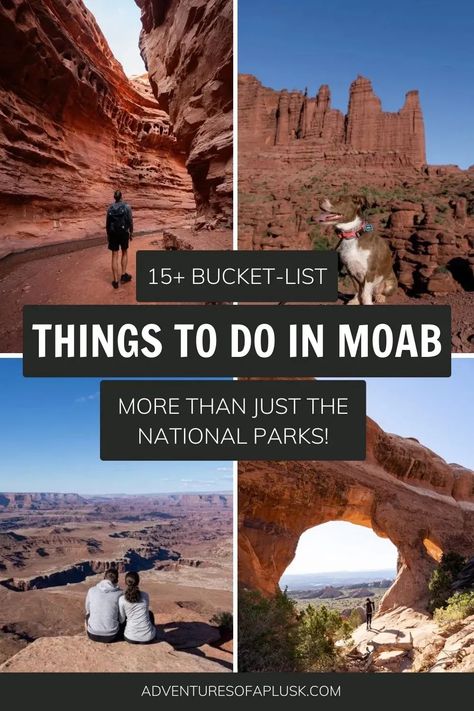 The Best Things to do in Moab, Utah | Dog friendly Moab, Utah | What to do in Moab, Utah | Moab hikes | Best hikes in Moab, Utah | Where to stay in Moab | What to eat in Moab, Utah | Best Food in Moab Moab Utah Things To Do, Salt Lake City Hikes, Zion National Park Hikes, Utah National Parks Road Trip, Utah Parks, Midwest Road Trip, Colorado National Monument, Utah Vacation, Visit Utah