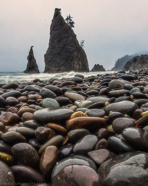 Rialto Beach Washington, Rialto Beach, Rock Beach, Photography Genres, Scene Image, Washington Usa, Types Of Photography, Photo Story, Aerial Photography