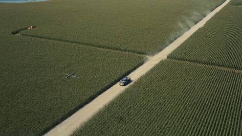 Interstellar Movie Stills, Interstellar Cornfield Chase, Interstellar Shots, Interstellar Stills, Interstellar Movie Scene, Interstellar Cinematography, Interstellar Cornfield, Interstellar Scene, Cinematographic Shots