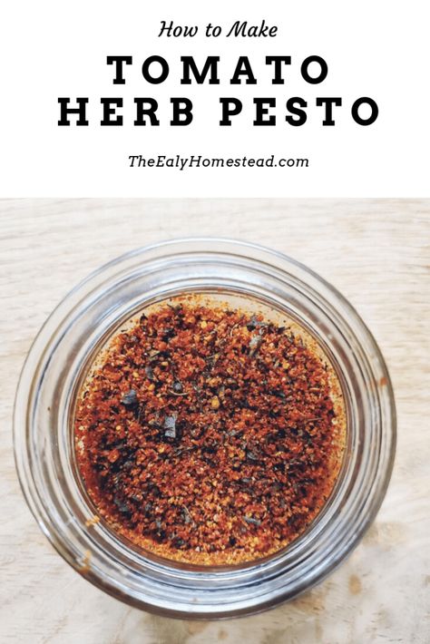 How to Make Tomato Herb Pesto | The Ealy Homestead Herb Pesto, Basil Herb, Spice Blends Recipes, Meat Rubs, Diy Spices, Seasoning Recipe, Tomato Pesto, Herb Seasoning, Canning Tomatoes