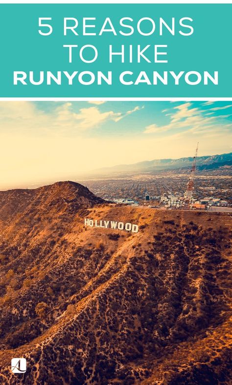 Runyon Canyon Park, Runyon Canyon Hike, Los Angeles Hiking Trails, Trip List, Runyon Canyon, La Hikes, Los Angeles Travel Guide, Hikes In Los Angeles, Navigator Of The Seas