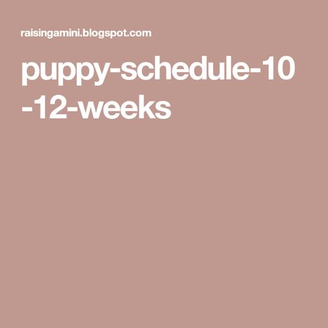 puppy-schedule-10-12-weeks 10 Week Puppy Schedule, 10 Week Old Puppy Schedule, 12 Week Old Puppy Schedule, 12 Week Puppy Schedule, Puppy Schedule 10 Week Old, Puppy Schedule 12 Weeks, Crate Training Puppy Schedule, Puppy Training Guide, Puppy Schedule