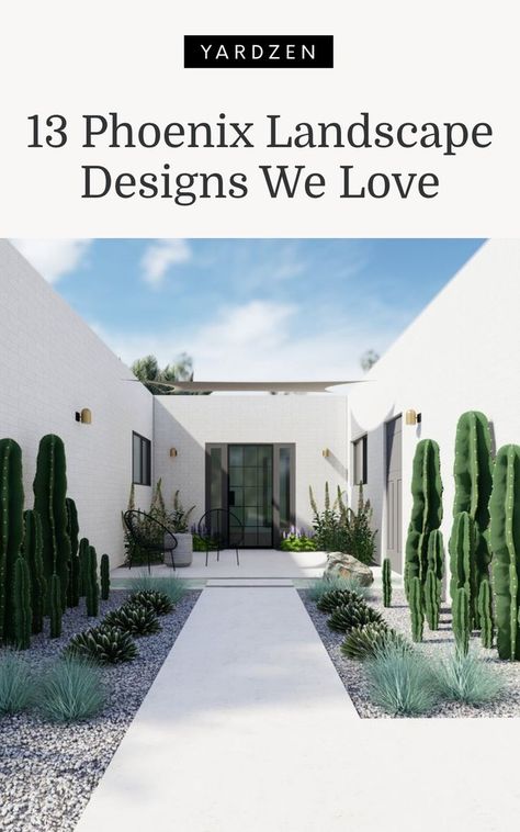 Desert Plants Landscaping, Phoenix Landscape, Cactus Garden Design, Desert Landscaping Backyard, Cactus Garden Landscaping, Succulent Garden Landscape, Online Landscape Design, Outdoor Gardens Landscaping, Succulent Landscape Design