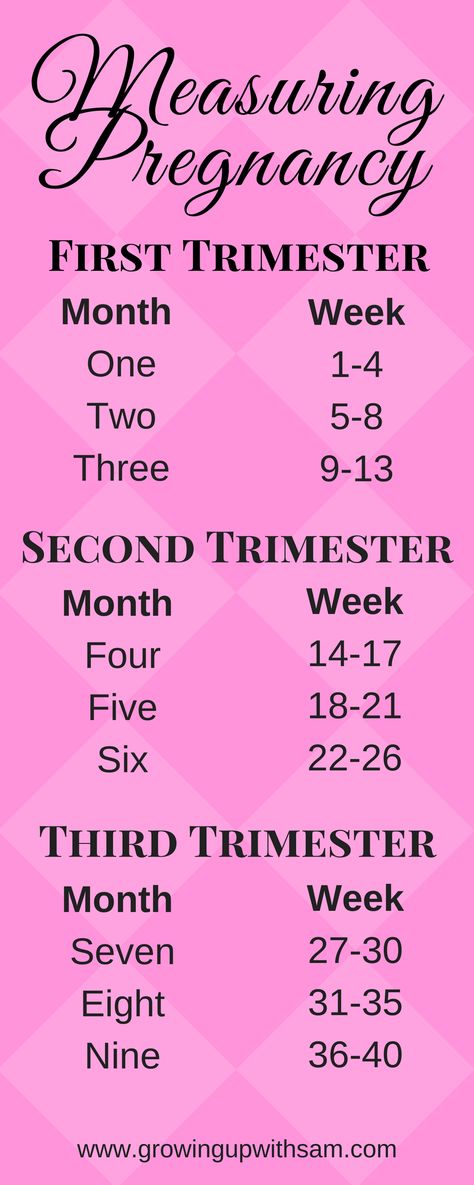 2 Trimester Pregnancy, Pregnant Tips First Trimester, Pregnancy Tips First Trimester, Pregnancy Step By Step, Pregnancy Trimester Chart, Pregnancy Journal Ideas, Trimester Chart, First Trimester Pregnancy Tips, First Time Pregnancy Tips