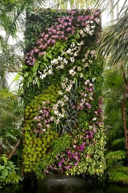 The orchid wall created by botanist Patrick Blanc for the New York Botanical Garden's Orchid... Garden Ideas To Make, Vertical Vegetable Gardens, Vertical Garden Design, Artificial Garden, Vertical Vegetable Garden, Vertical Garden Wall, Vertical Garden Diy, Walled Garden, Wall Garden