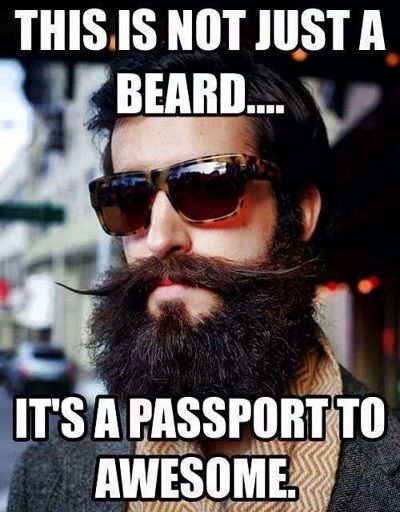 Barba Hipster, Men Humor, Badass Beard, I Love Beards, Beard Quotes, Beard Rules, Beard Game, Beard Humor, Epic Beard