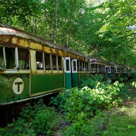 Stray Aesthetic, Abandoned Machinery, Forgotten Things, Dystopian Aesthetic, Apocalypse Aesthetic, Abandoned Train, Train Tracks, End Of The World, Nature Aesthetic