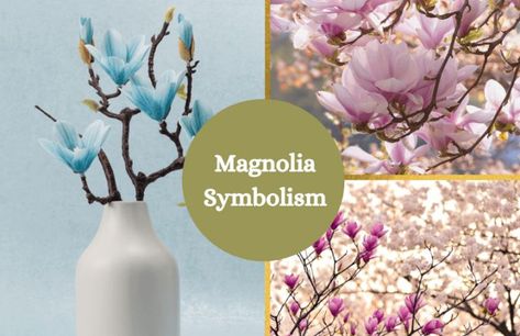 Flower Symbols, Flower Symbol, Magnolia Flowers, Flower Meanings, Magnolia Flower, Simply Lovely, Grasses, Aphrodite, Flowers Plants