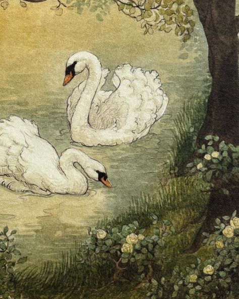 The sun came out and now I think everything’s going to be okay! If you know what I mean, you knowww… ~ Swans Vignette ~ for February, for… | Instagram Swan Drawing, Swan Tattoo, Baby Swan, Swan Painting, Ballet Painting, Swans Art, Baby Illustration, Cute Paintings, Vintage Botanical Prints