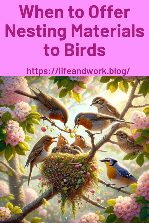 When to Offer Nesting Materials to Birds Bird Nesting Material, Bird Eating, Backyard Birds Watching, Backyard Birds Feeders, Bird Study, Bird Feeder Craft, Squirrel Feeders, Bird House Plans, What Is A Bird