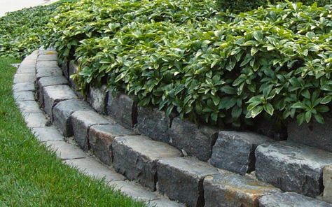 Creating a boundary for your garden is a great way to enhance your garden’s appearance and show off your creativity. You can get a lot of materials fr... | Create Levels of Rough Stone Bricks #gardenedging #edginggarden #garden #gardens $edges #gardenedges #decoratedlife Garden Edging Stones, Landscape Edging Stone, Stone Edging, Garden Edging Ideas, Brick Edging, Landscape Borders, Brick Garden, Landscape Edging, Edging Ideas