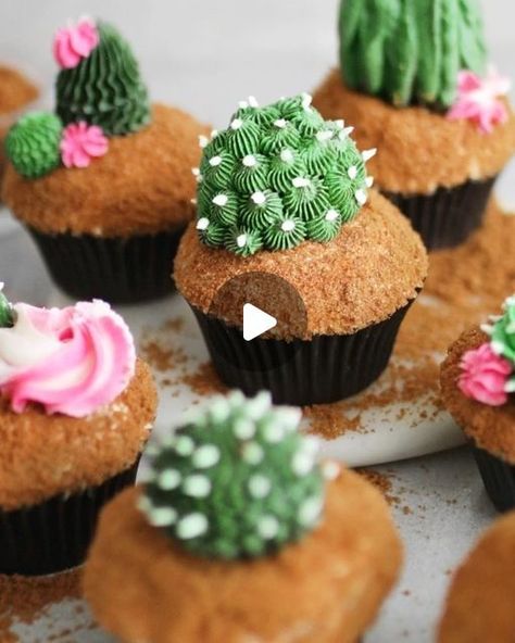 Cactus Cupcakes Tutorials, Cactus Cupcakes Easy, Plant Cupcakes, Cake Pop Balls, Cupcakes Succulents, Cactus Cakes, Cactus Cupcakes, Sand Cake, Succulent Cupcakes