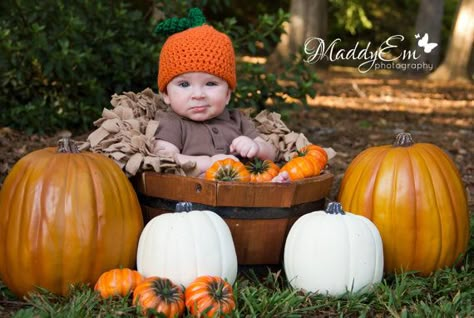 Fall Baby Photos, Baby Pumpkin Hat, Pumpkin Photography, Fall Baby Pictures, Photo Bb, Logo Foto, Photo Halloween, Patch Outfit, Newborn Halloween