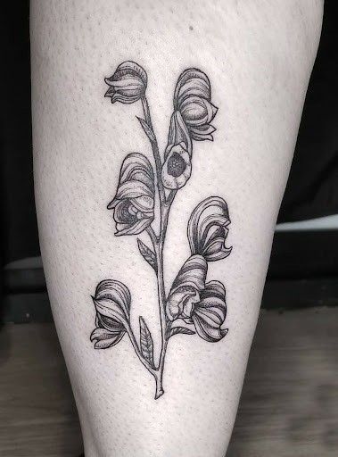 Wolfsbane Tattoo, Bouquet Tattoo, Flash Sheet, Floral Tattoo Sleeve, Plant Tattoo, Poisonous Plants, Tattoo Meaning, Floral Sleeve, Nature Tattoos