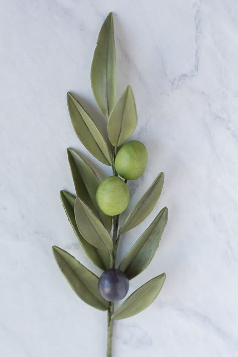 Gum Paste Olive Branch Tutorial - The Little Vintage Baking Company Olive Branch Aesthetic, Olive Flower, Olive Branch Reference, Olive Branch Vector, Olive Illustration Botanical, Vintage Olive Branch Illustration, Olive Plant, Sugar Flowers Tutorial, Fruit Photography