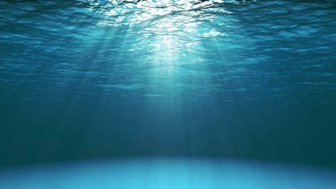 Sea Core, Ocean Surface, Underwater Background, Wallpaper Ocean, Ocean Iphone, Underwater Ocean, Clear Sea, Ipad Air Wallpaper, Underwater Images