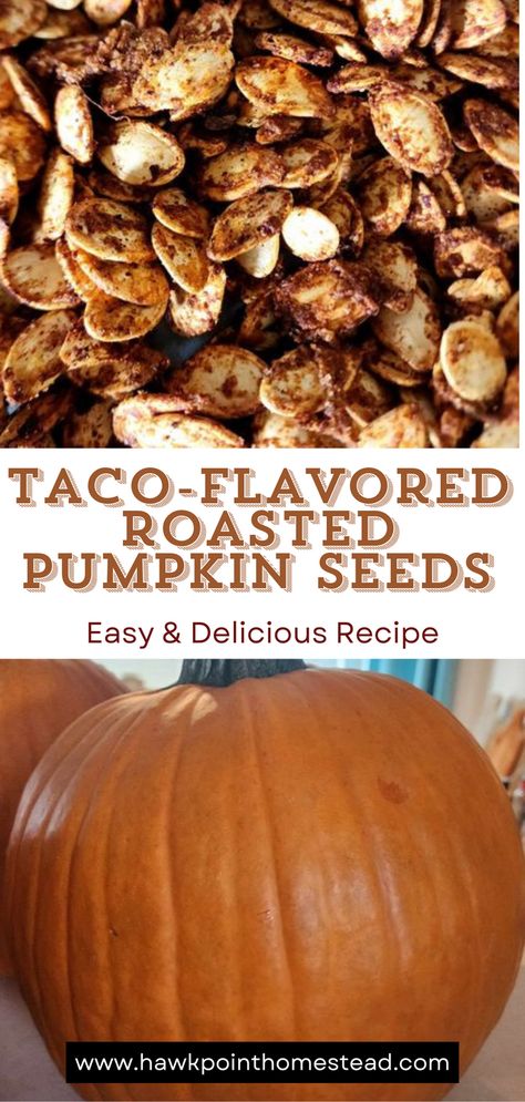 One of my favorite things about pumpkin carving and Fall is roasting the pumpkin seeds.

Enjoy these delicious crunchy pumpkin seeds with the wonderful taco flavor. Pumpkin seeds are a healthy and satisfying snack that are so easy to make!

Making pumpkin seeds is a fun activity to do with kids! Especially trying different flavors. Plus you can put those pumpkin seeds left over after carving your fall pumpkins to great use! Oven Roasted Pumpkin Seeds, Easy Pumpkin Seeds, Best Pumpkin Seed Recipe, Pumpkin Seed Recipes Roasted, Roasted Pumpkin Seeds Recipe, Perfect Pumpkin Seeds, Roasted Squash Seeds, Homemade Pumpkin Seeds, Butternut Squash Seeds