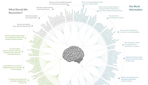 Here's all 188 cognitive biases in existence, grouped by how they impact our thoughts and actions. We also give some specific cognitive bias examples. Confirmation Bias, Character Strengths, Behavioral Economics, Cognitive Bias, Cognitive Science, Social Influence, Information Processing, Human Brain, Famous Books