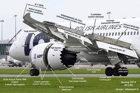 Aircraft Structure, Pilot Career, Aviation Education, Boeing 787 8, Boeing 787 Dreamliner, Aviation Training, Pilots Aviation, Aircraft Mechanics, Aircraft Parts