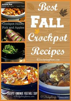 Fall Slow Cooker, Fall Slow Cooker Recipes, Fall Crockpot, Delicious Crockpot Recipes, Crockpot Desserts, Simple Crockpot, Fall Crockpot Recipes, Slow Cooker Freezer Meals, Crock Pot Ideas