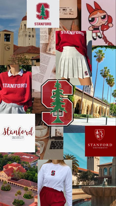 Ivy League Aesthetic, University Collage, University Inspiration, Stanford Law, Cesar Vallejo, College Vision Board, Law School Inspiration, Ivy League Schools, Usa University