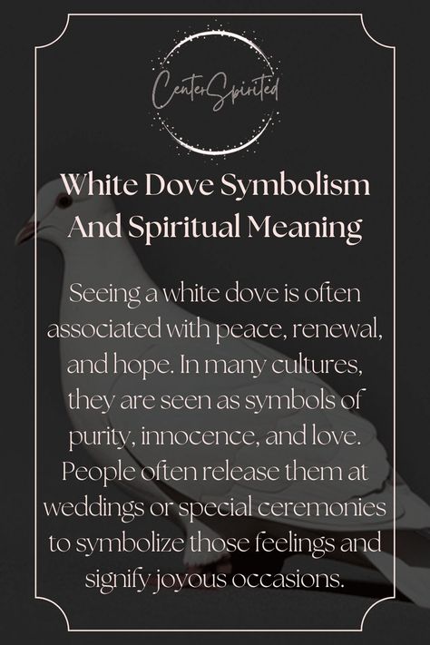 White Bird Spiritual Meaning, White Dove Spiritual Meaning, Dove Meaning, Dove Symbolism, Bird Symbolism, Bird Meaning, Symbols Of Peace, Spiritual Signs, Animal Symbols