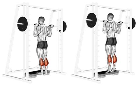 Smith Machine Standing Calf Raise (4 sets of 15) Free Weight Squats, Calf Exercise, Smith Machine Workout, Shoulder Press Machine, How To Get Faster, Standing Calf Raise, Dumbbell Fly, Push Pull Legs, Assisted Pull Ups