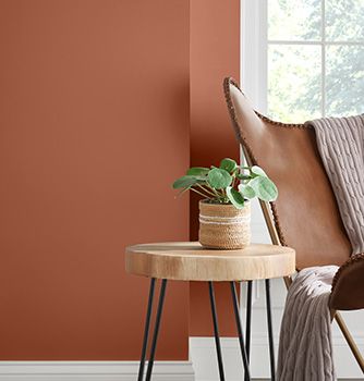 Best Sherwin Williams Paint, Cavern Clay, Accent Wall Paint, Sherwin Williams Colors, Ethnic Decor, Sherwin Williams Paint Colors, Neutral Living Room, Home Decor Color, Living Room Paint