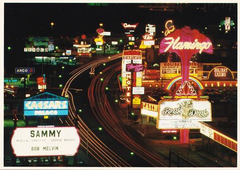 Las Vegas Aesthetic Vintage, 1970s Las Vegas, Las Vegas Aesthetic, Vegas Aesthetic, Flamingo Hotel, Old Vegas, Vintage Las Vegas, Neon Museum, Luxury Landscaping