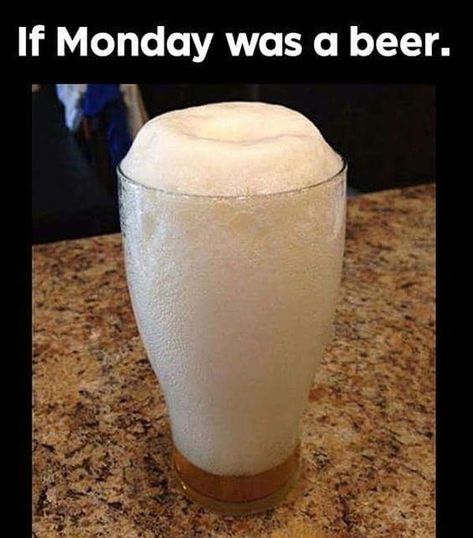 Funny Monday Memes, Haidar Ali, Beer Memes, Monday Memes, Monday Humor, Worst Day, Work Memes, Funny Fails, Best Funny Pictures