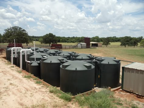 Collect Rainwater, Rainwater Tank, Plastic Tanks, Homestead Layout, Water Collection System, Rain Harvesting, Horse Arena, Rainwater Harvesting System, Rain Water Tank