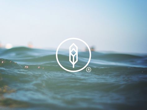 Feather Logo, Surf Logo, Motion Logo, Surf Brands, Logo Identity, Cleaning Logo, Art Wallpaper Iphone, Sea Waves, Identity Logo