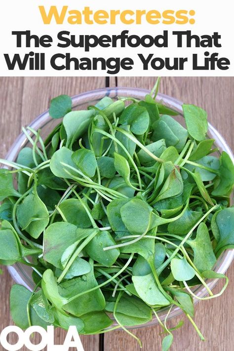 Water Cress Recipe, Aeroponic Potatoes, Watercress Benefits, Grow Watercress, Water Cress, Watercress Recipes, Tempura Recipe, Grocery Staples, Watercress